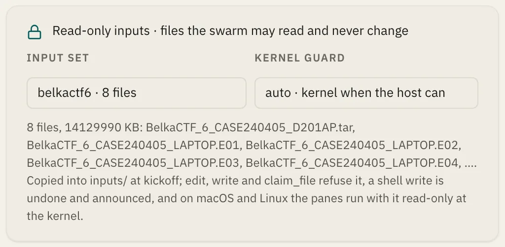 The read-only inputs card: an evidence set chosen from the server, with the kernel guard set to auto